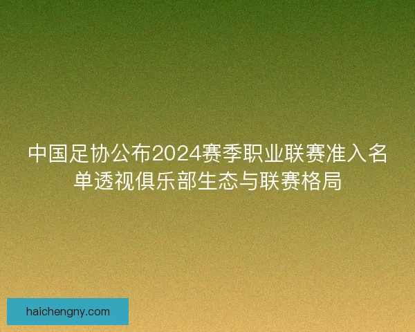 中国足协公布2024赛季职业联赛准入名单透视俱乐部生态与联赛格局