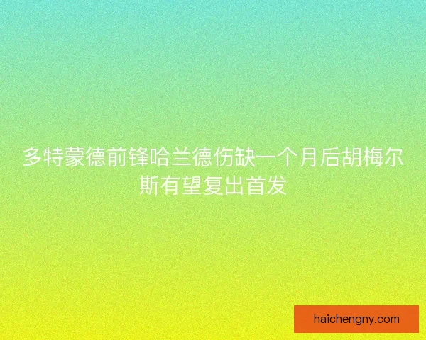 多特蒙德前锋哈兰德伤缺一个月后胡梅尔斯有望复出首发